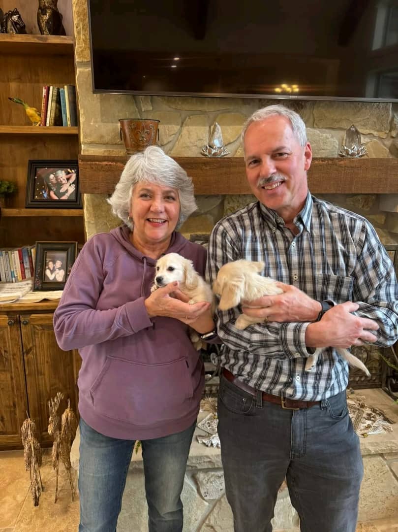 Dachshund Breeder Usa