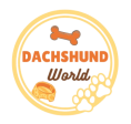 Dachshund Breeder Usa