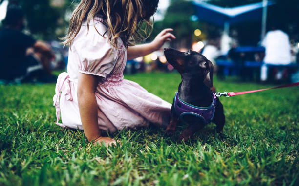 Are Dachshunds Good Pets for Kids