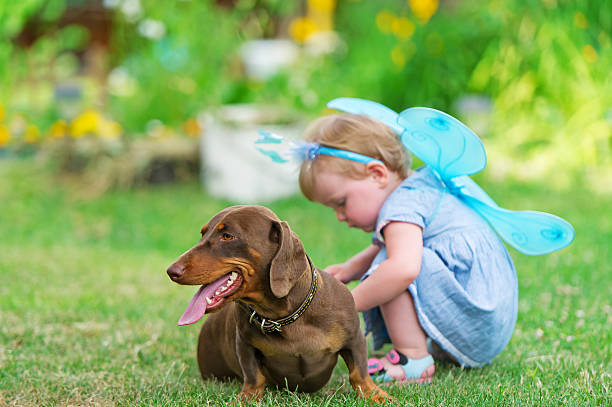 Are Dachshunds Good Pets for Kids