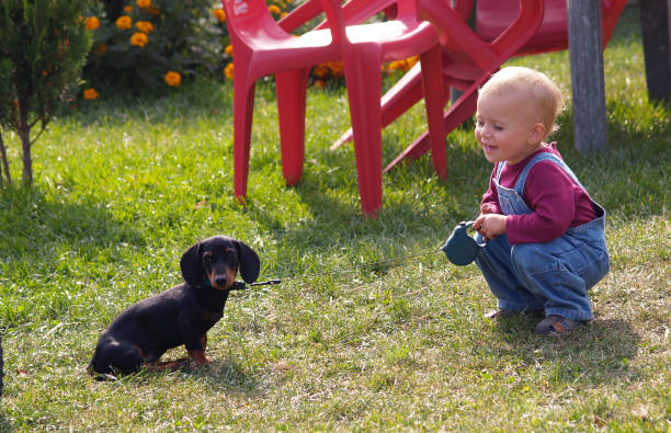Are Dachshunds Good Pets for Kids