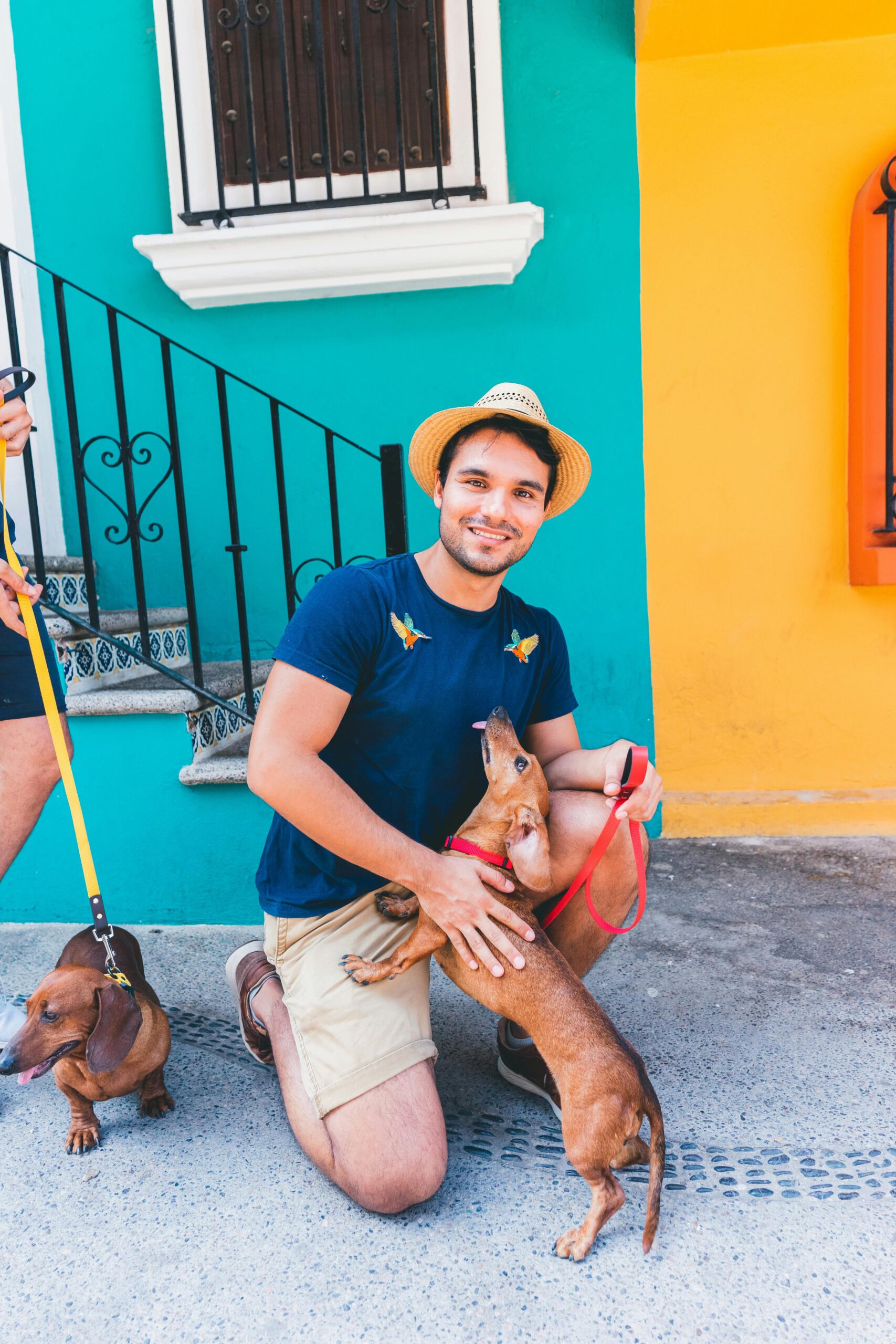 Dachshund Rescue Near Me